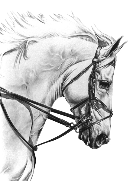 Martingale Horse